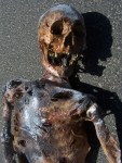 Burnt Riley Skeleton