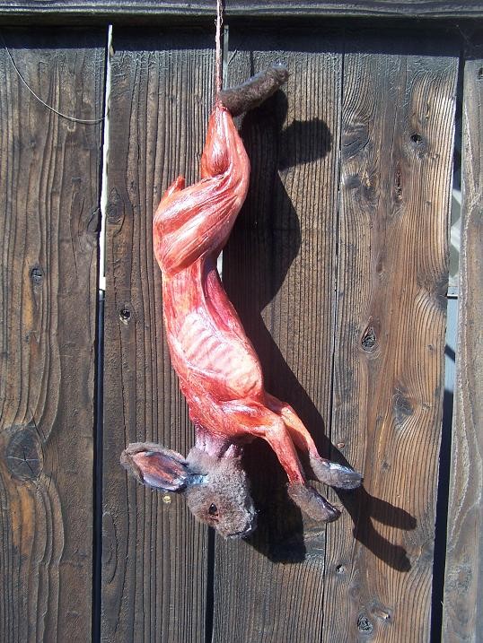 Field Skinned Rabbit Prop