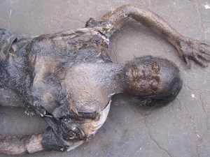 Half Anatomical Burnt Jessica