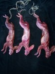Set of 3 Skinned Rabbit Props