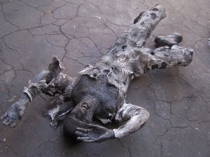 Burnt Kemmler with Jumpsuit